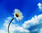 Лілія Рудікова фотография #18 (источник - https://vk.com/id134639062)