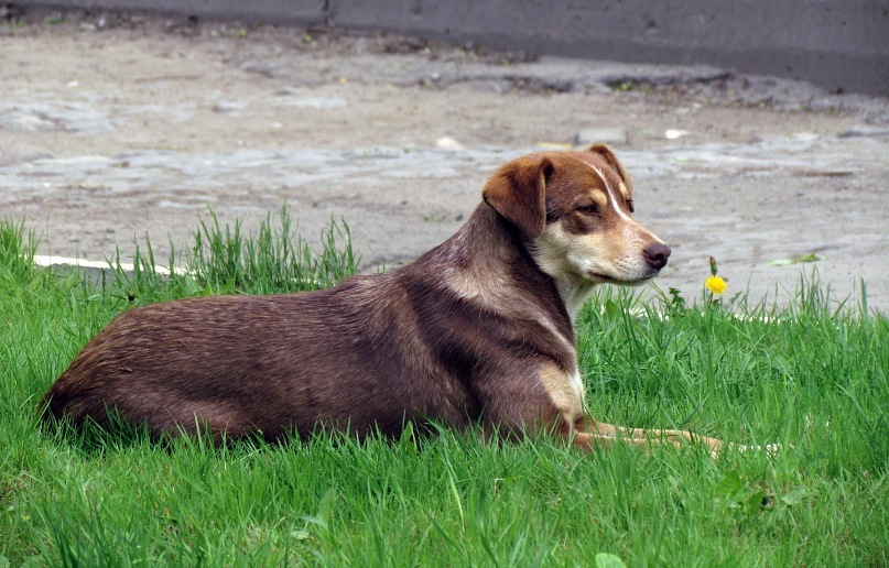 Станислав Котельчук фотография #27