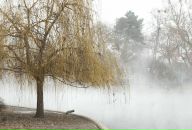 Софья Говорова фотография #22 (источник - https://vk.com/id1563765)