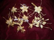 Ольга Іщук фотография #48 (источник - https://vk.com/id139552018)