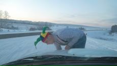 Фотография Шитлюк Дарья