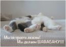 Фотография Надежда Хапеева