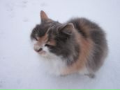 Наталія Богусевич фотография #28 (источник - https://vk.com/id16155962)