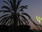 Фотография Панковой Александры