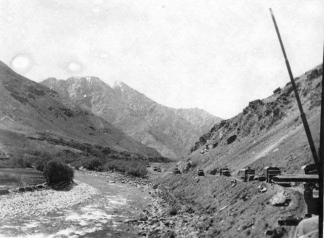 Александр Тимофеев фотография #36