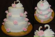 Світлана Гоцул фотография #41 (источник - https://vk.com/id20021344)