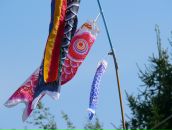 Фотография Горбункова Станислава