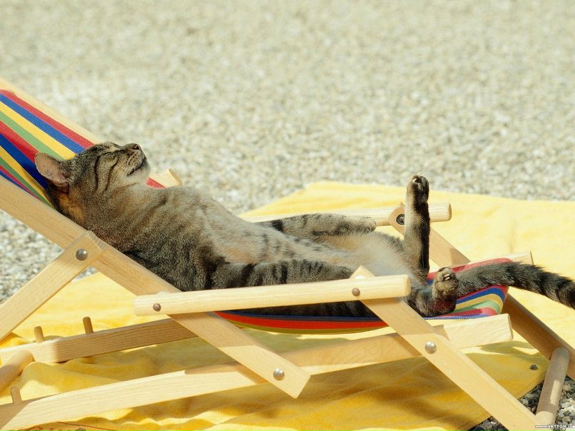 Дима Сергеев фотография #28