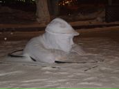 Фотография Емельянова Дмитрия