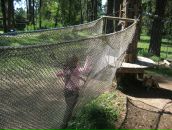 Юлія Петренко фотография #37 (источник - https://vk.com/id7521208)