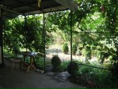 Фотография Пихтерева Жени