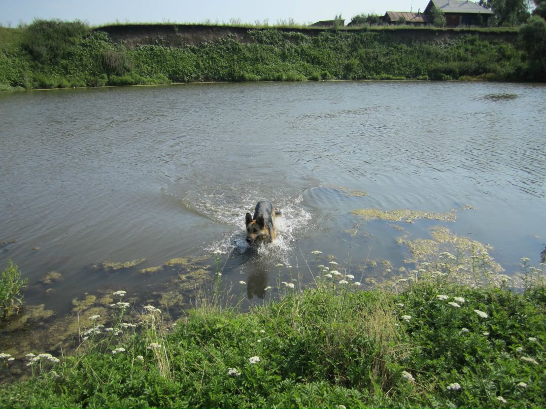 Анатолий Кошкин фотография #41