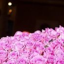 Іринка Ходинчак фотография #25 (источник - https://vk.com/id32260967)