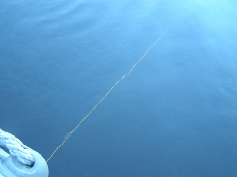 Михаил Симоненков фотография #47