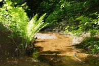 Фотография Яковлевой Алевтины