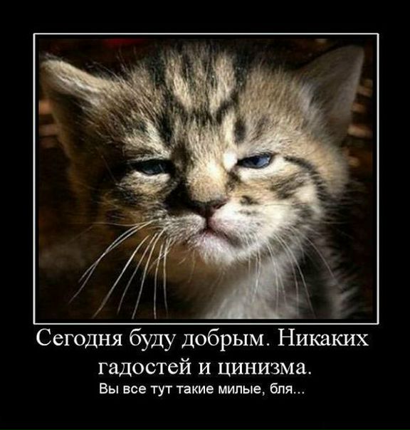 №8, Иван Громов, 37 лет №8, Иван Громов, 37 лет