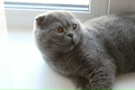 Дмитрий Клыга фотография #16 (источник - https://vk.com/id4355044)