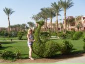 Таня Дацій фотография #47 (источник - https://vk.com/id61695319)