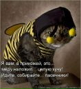 Фотография Вершининой Анны