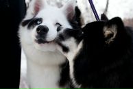 Фотография Райнер Елены