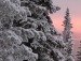 Галина Білоконь фотография #33 (источник - https://vk.com/id135539989)