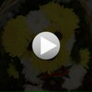 Ріта Гончаренко фотография #41 (источник - https://vk.com/id114434960)