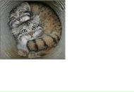 Фотография Александровича Олега