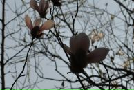 Viktoria Barabanova фотография #15 (источник - https://vk.com/id3774708)