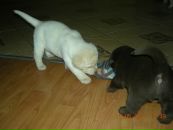 Влад Іванцов фотография #46 (источник - https://vk.com/id27851188)