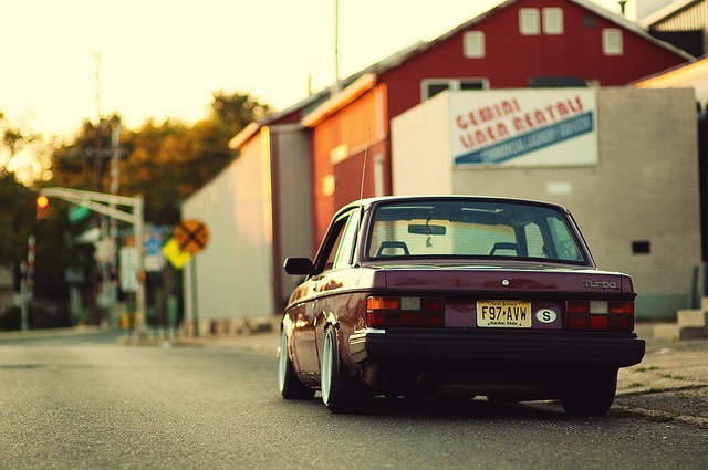 Симао Дерево фотография #25