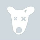 Фотография Шишлова Романа