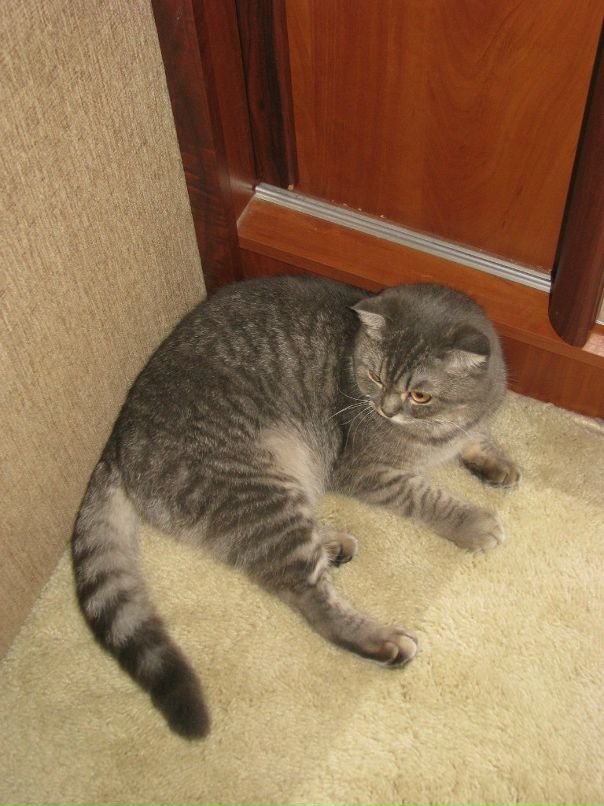 Сергей Липченко фотография #14