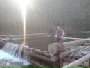 Колічка Сегеда фотография #2 (источник - https://vk.com/id133463391)