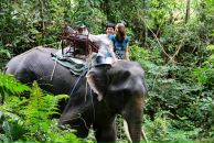 Фотография Art Nuta