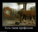 Фотография Жгуна Валерия