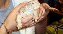 Фотография Господиновой Олеси