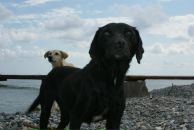 Сергей Матвейчук фотография #17 (источник - https://vk.com/id2555655)