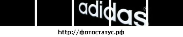 Віталік Павлюх фотография #4 (источник - https://vk.com/id136691390)