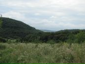 Лариса Йолкіна фотография #14 (источник - https://vk.com/id10384967)