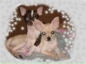 Фотография Пенчук Марины