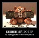 Ігор Малендевич фотография #26 (источник - https://vk.com/id121399449)