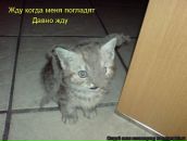 Андрій Симонович фотография #10 (источник - https://vk.com/id17058813)