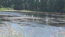 Фотография Зайда Дмитрия