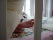 Фотография Герасимов Руслан