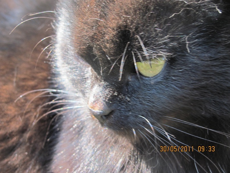 Ольга С фотография #35