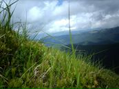 Αнна Κалашникова фотография #23 (источник - https://vk.com/id84410140)