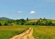 Фотография Линчевской Ксении