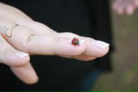 Фотография Жук Ольги