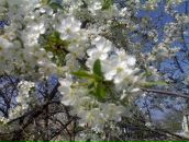 Віталій Цимбал фотография #50 (источник - https://vk.com/id2896671)