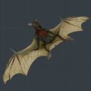 Ярославця Андріївна фотография #6 (источник - https://vk.com/id23558852)